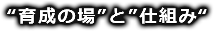 メインのテキスト